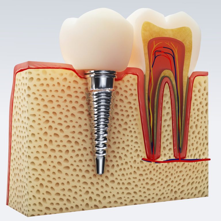 human-tooth-digital-illustration-teeth-cross-section-isolated-3d-rendering